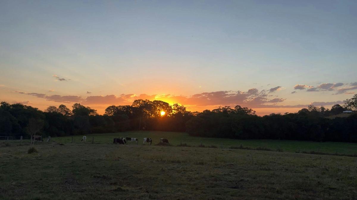 Greens Creek Country Stay
