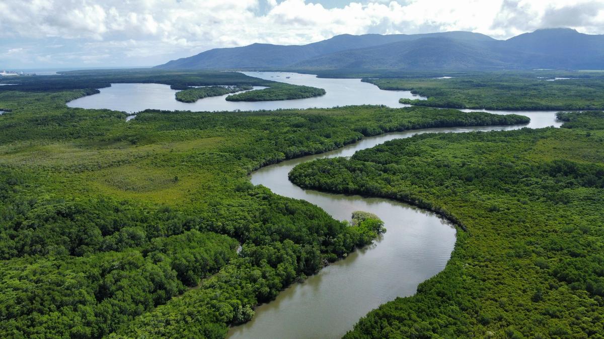 Calm waters of Trinity Inlet – home to Gone Fishing Cairns’ fishing charters in Cairns.