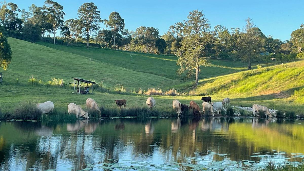Greenview Camping