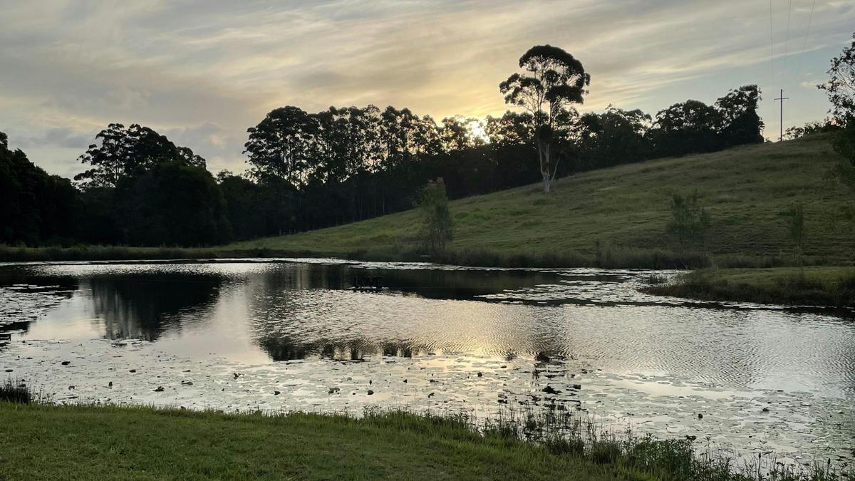 Greenview Camping