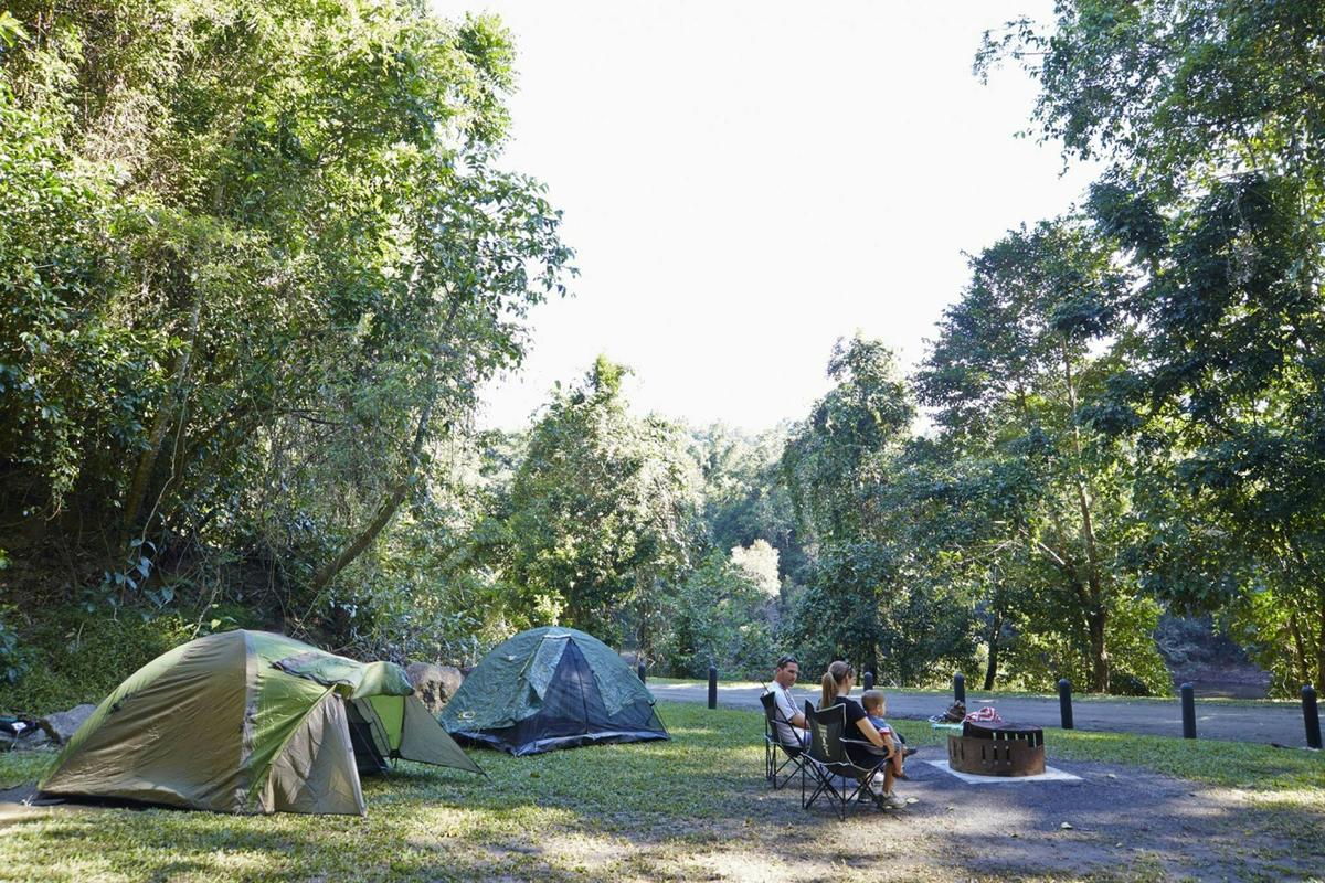 Camp at Goldsborough Valley camping area.