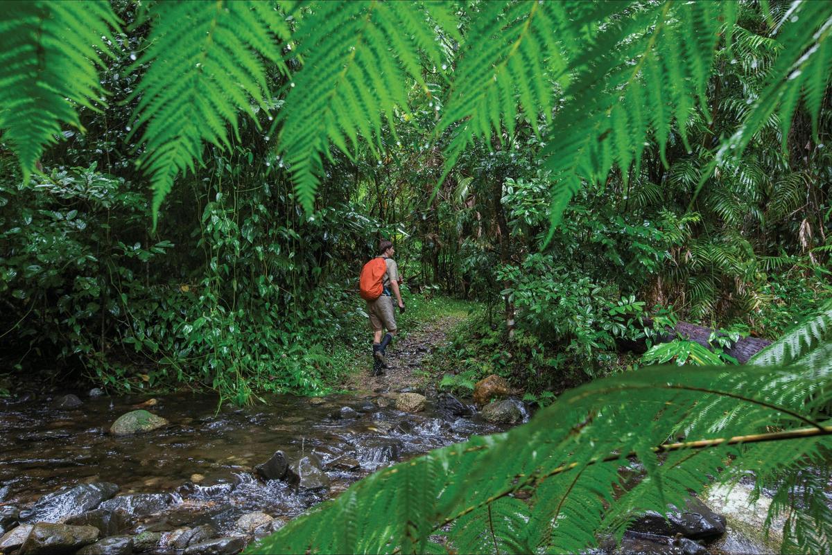 Explore the 19km Goldfied trail.