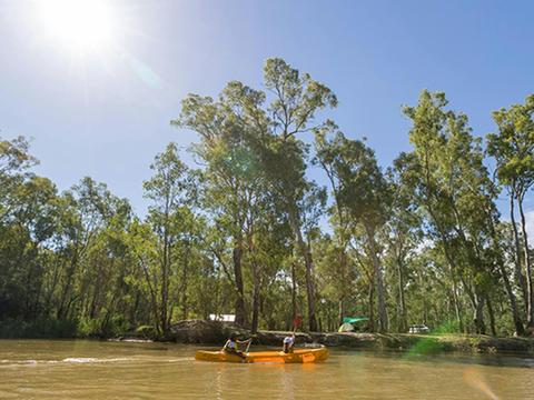 Murray River canoe trails