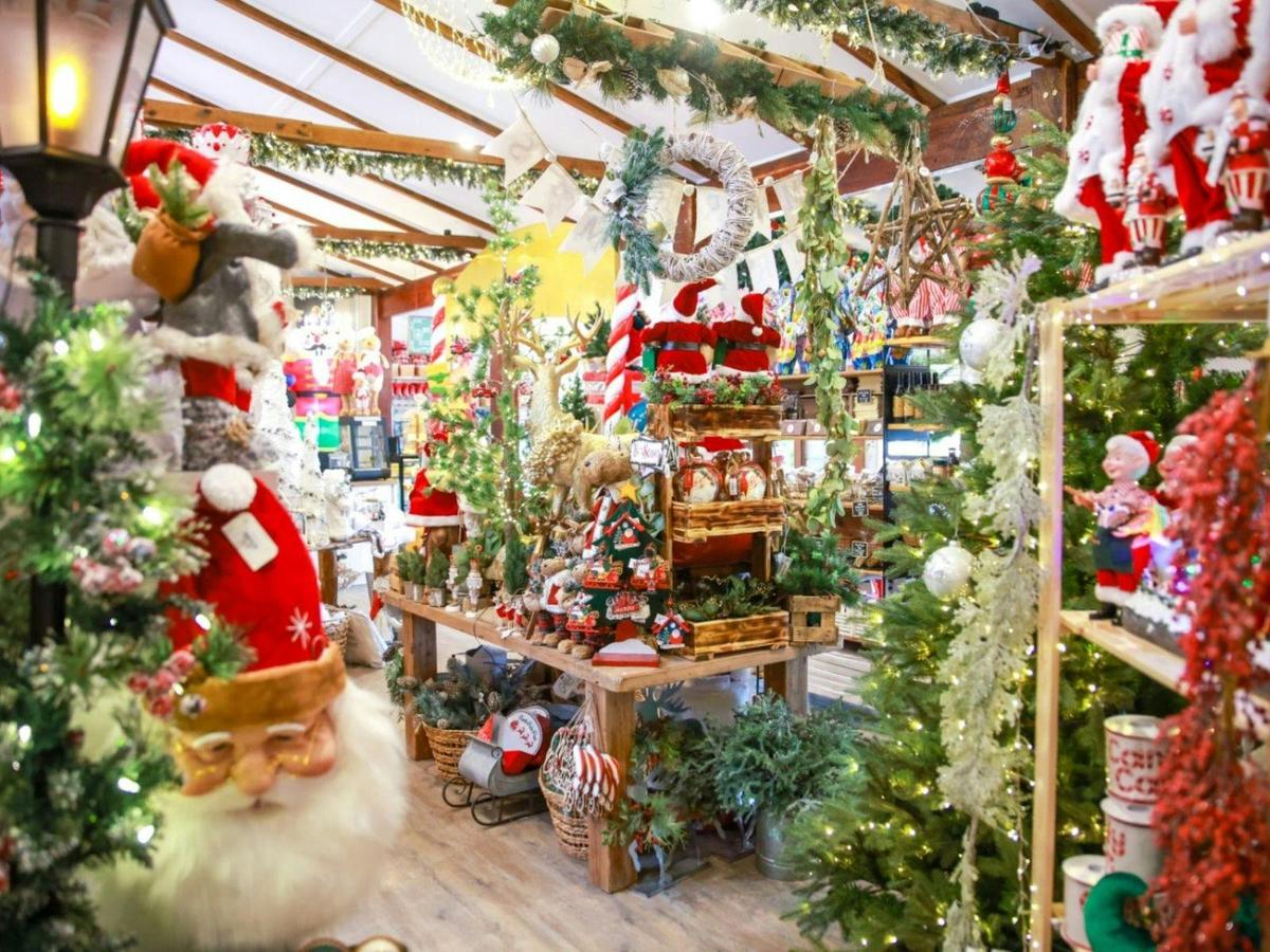 Visit our beautiful Mistletoe Store with over 20,000 products sourced from all over the world