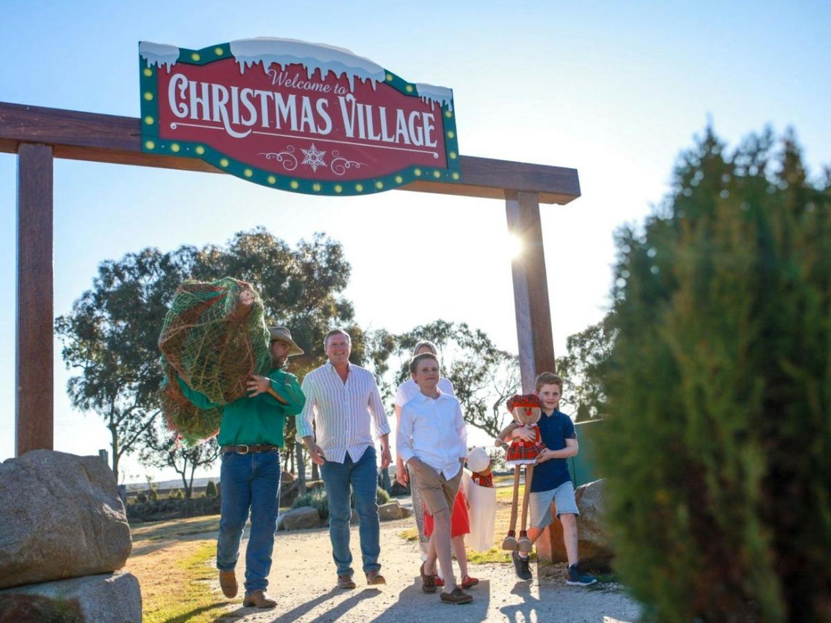 Celebrate Christmas with one of our Farm Fresh Christmas Trees