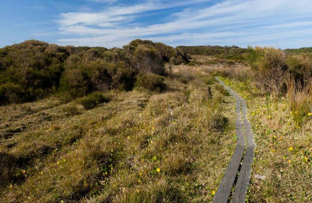 Murramarang Aboriginal Area Walking Track