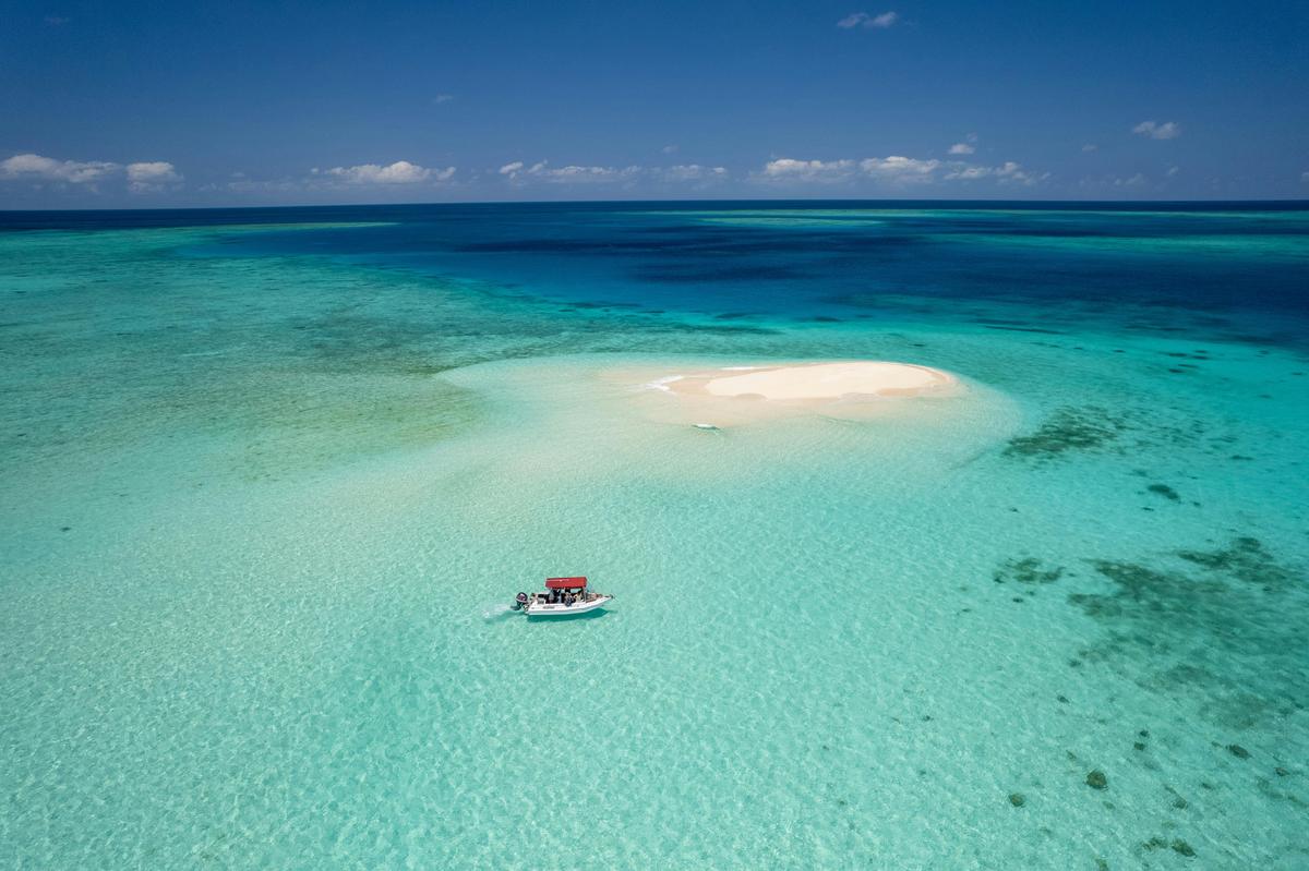 Adventure awaits on the Great Barrier Reef. Private sorkelling led by Dr Adele.