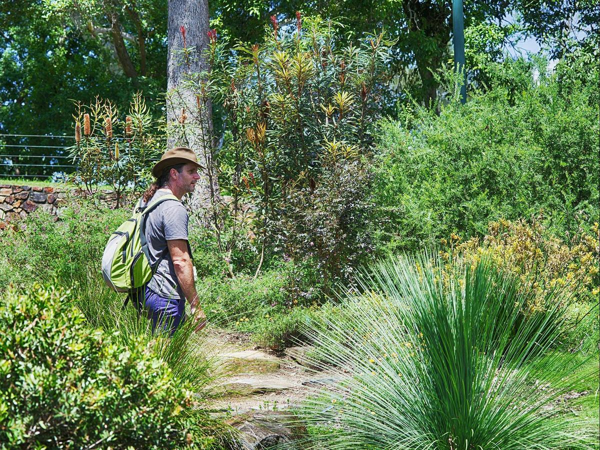 Walking Trail Botanic Gardens
