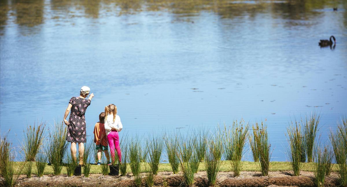 Botanic Gardens Lake
