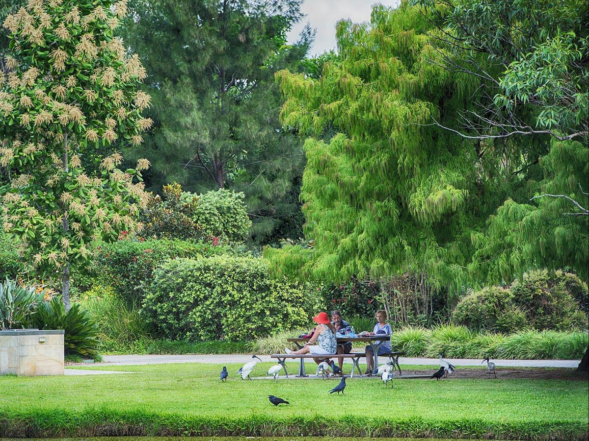 Picnic at Botanic Gardens