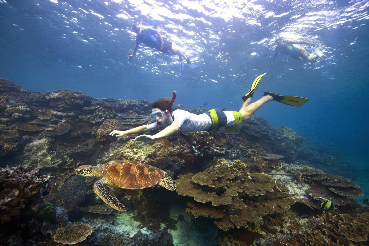 Great Barrier Reef Day Tour ex Gold Coast