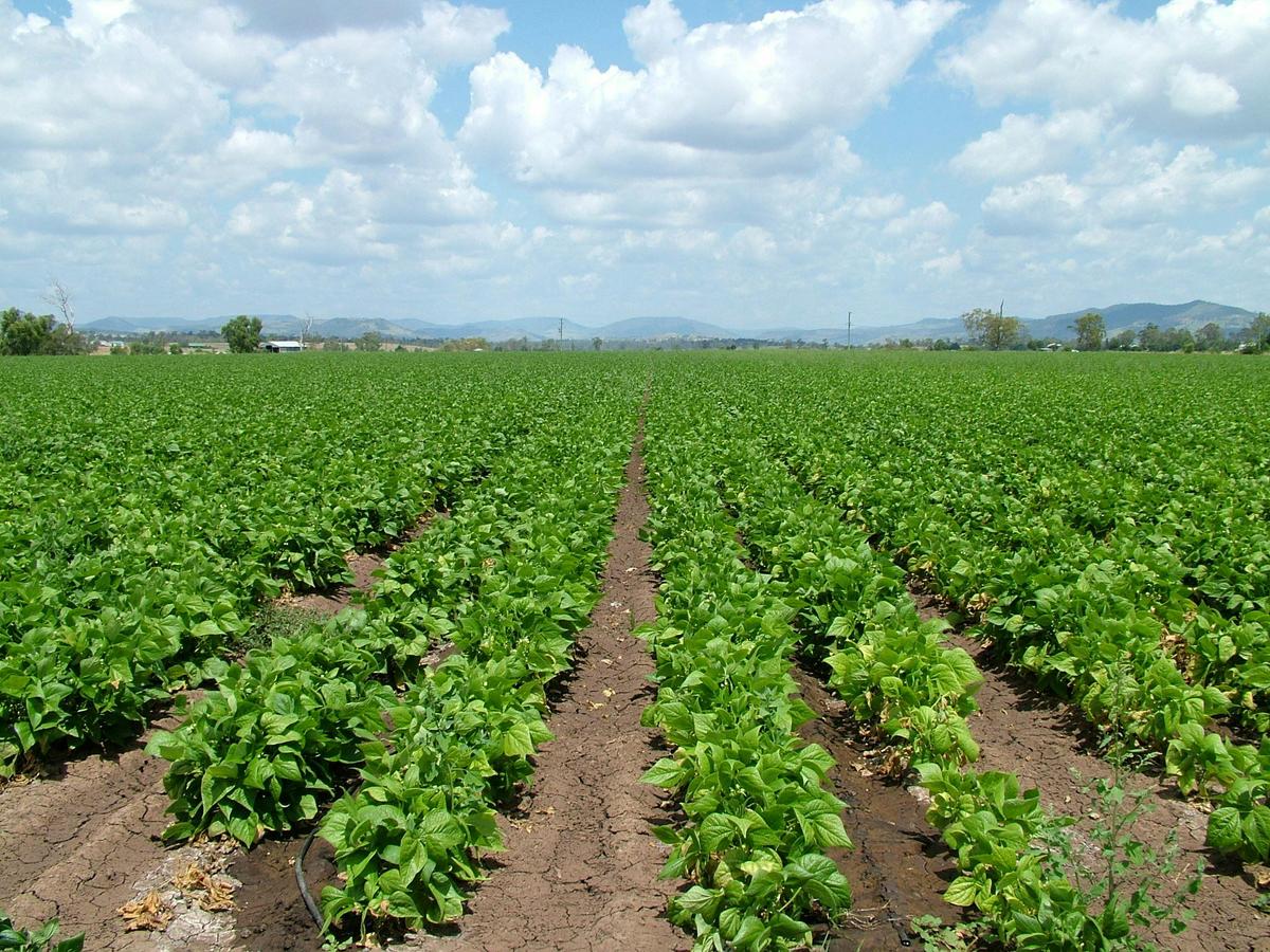 Grantham, Lockyer Valley