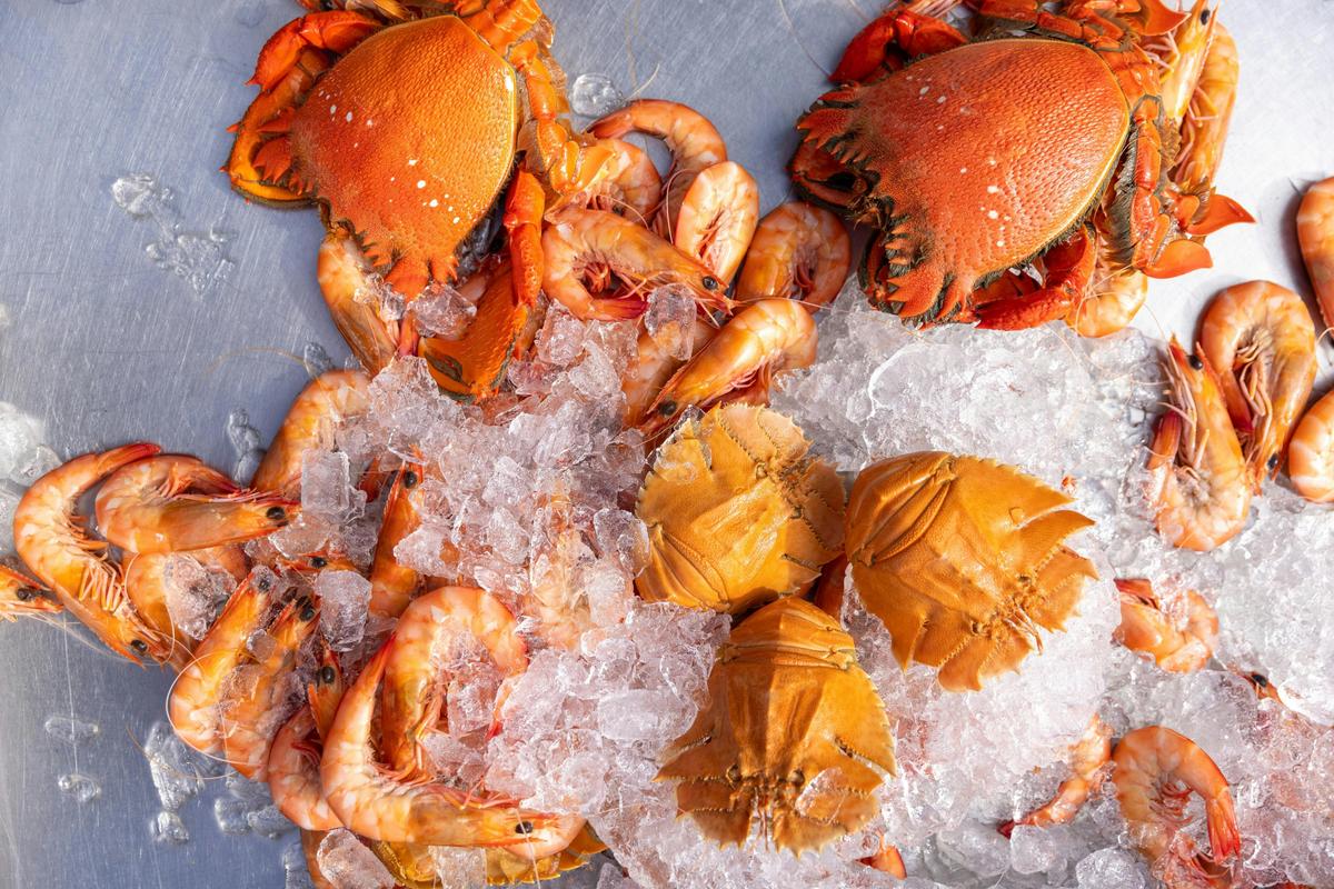 Prawns, Crabs and Bugs