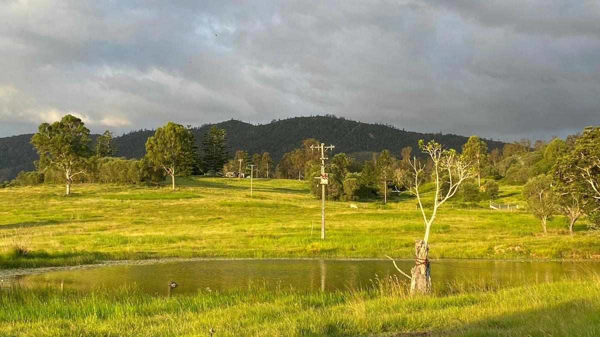 Gundiah Downs