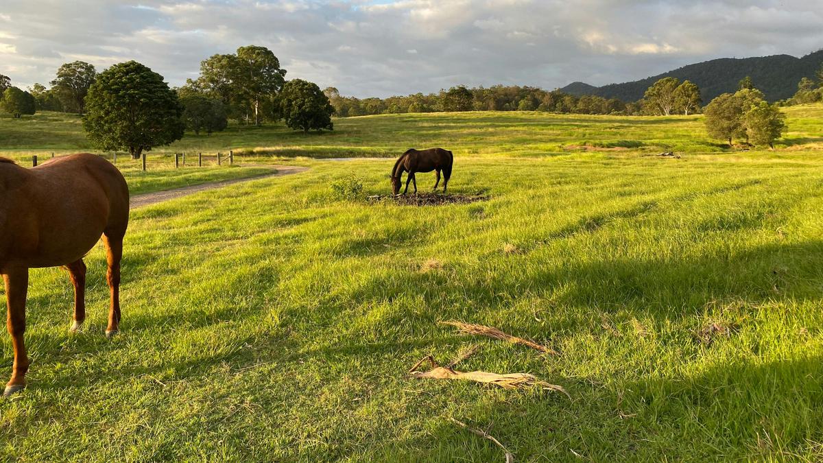 Gundiah Downs