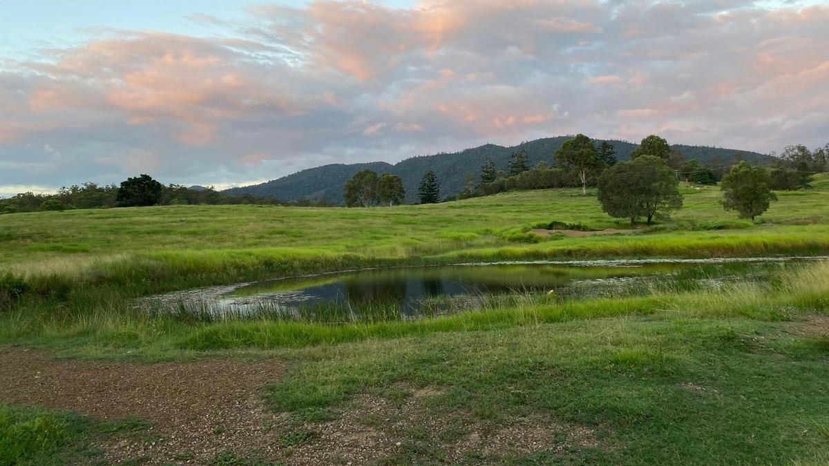 Gundiah Downs