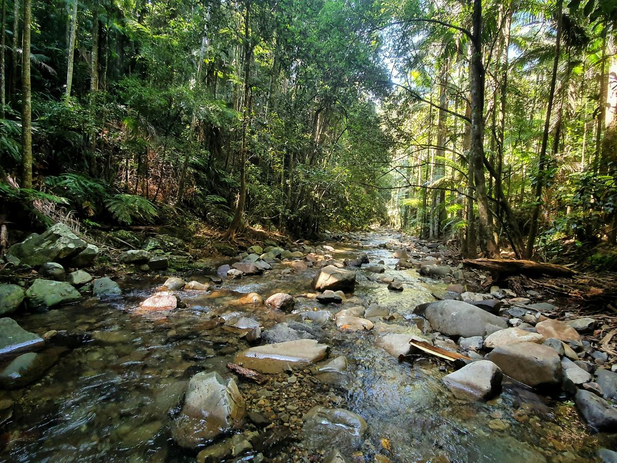 A wander at Cougal Cascades