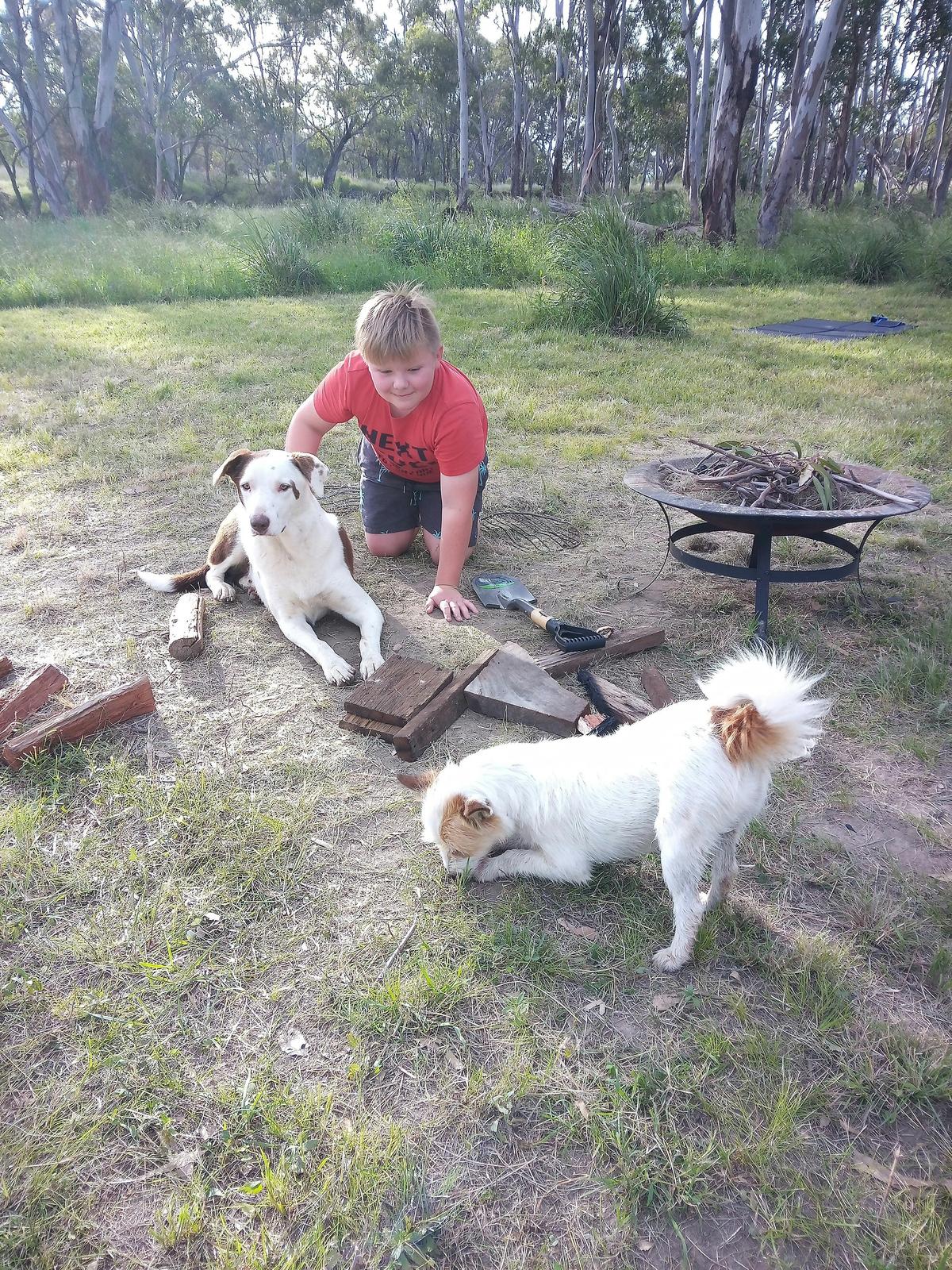 Jack with Jack and T-Rex. Dog friendly.