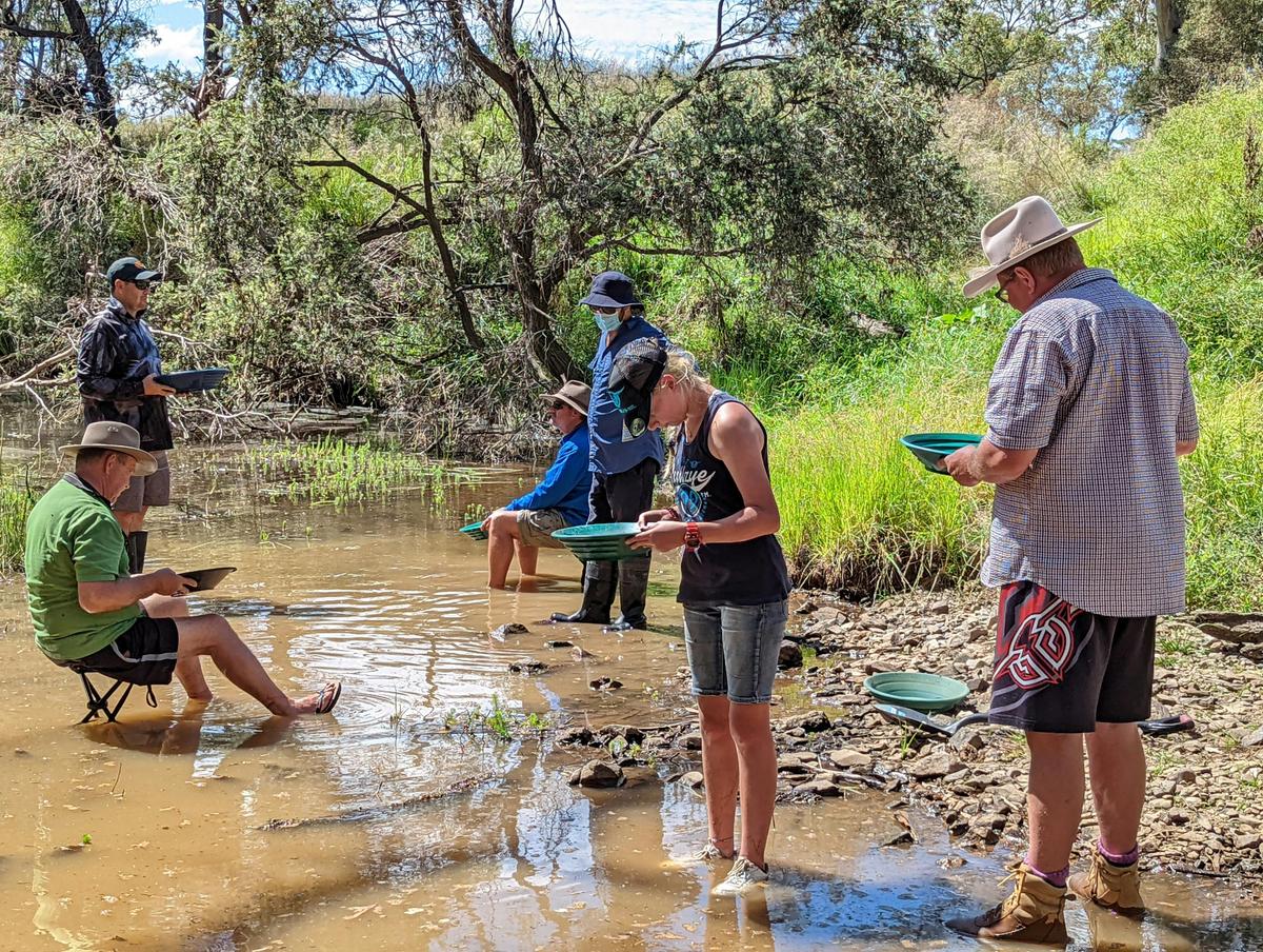 Panning workshops