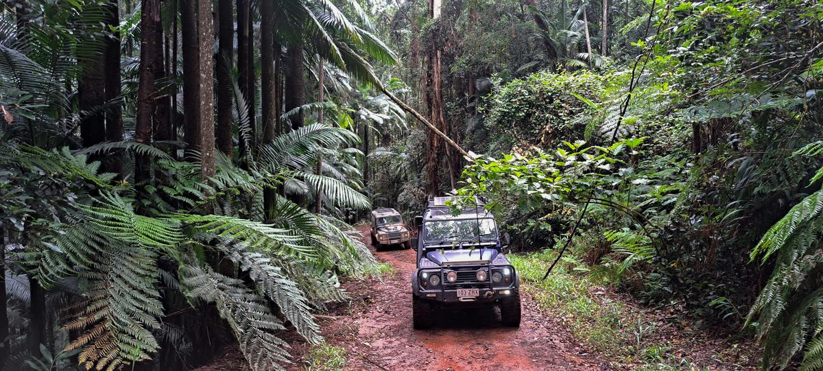 Landrover Defender exploring Conondale National Park