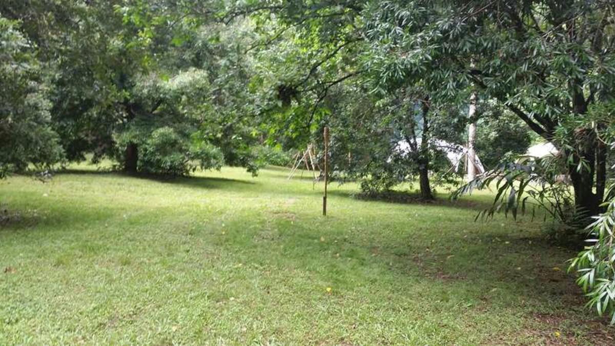 Bush tucker orchard