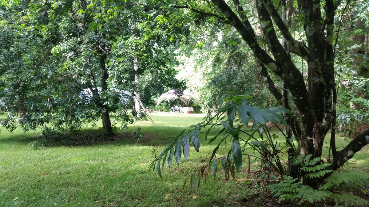 Bush tucker orchard