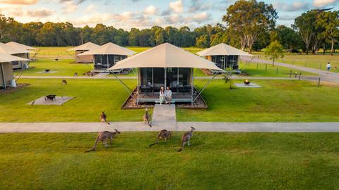 Paperbark Glamping Tent