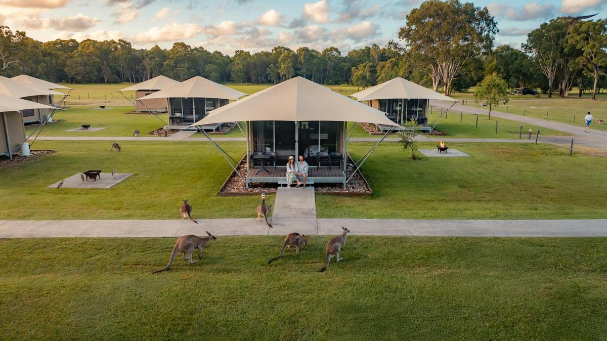 Paperbark Tents