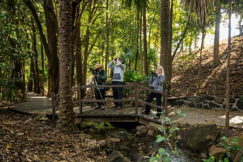 Nature Phone Photography Walk at Kholo Gardens
