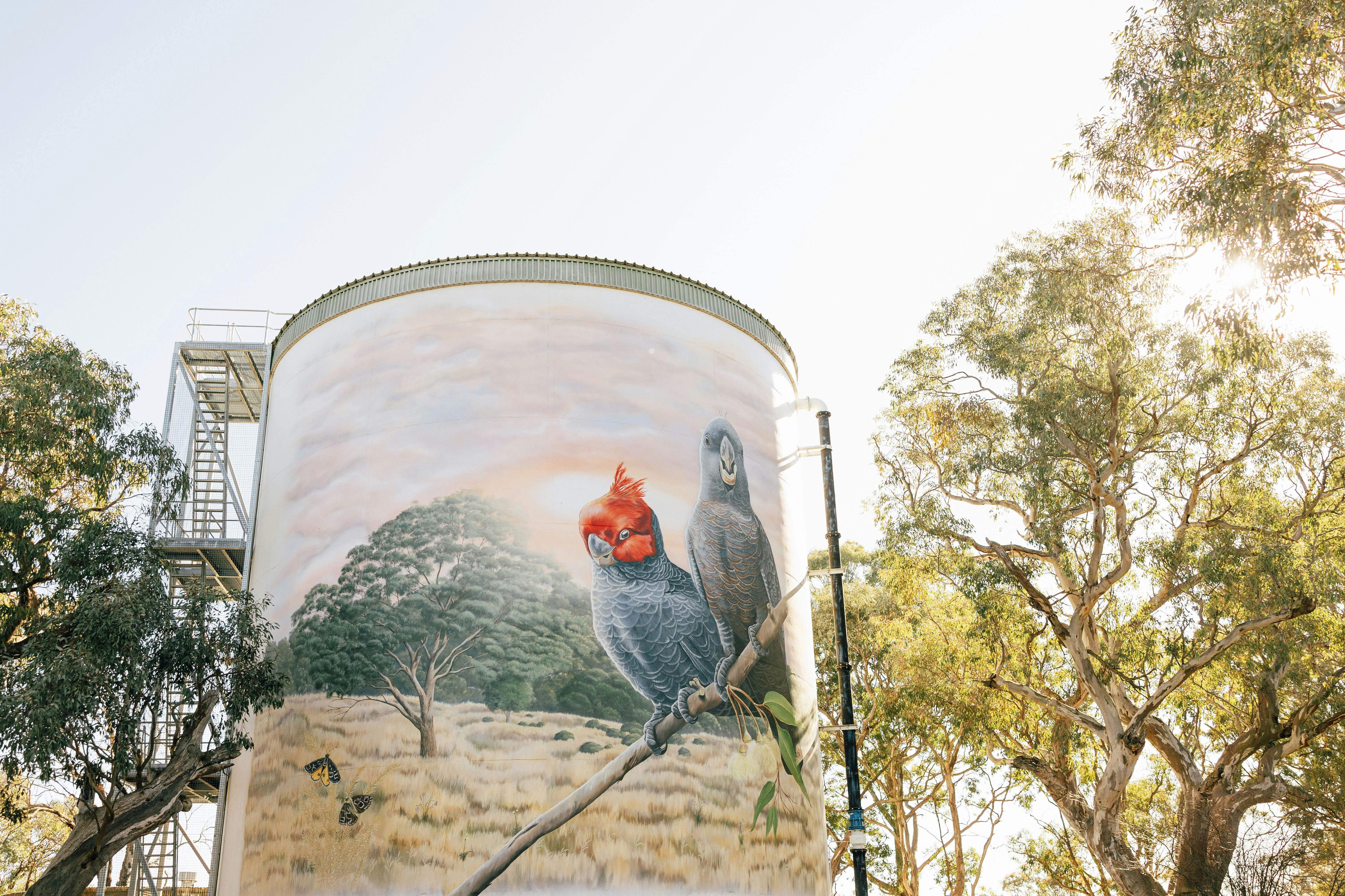 Murrumbateman Water Tank Mural