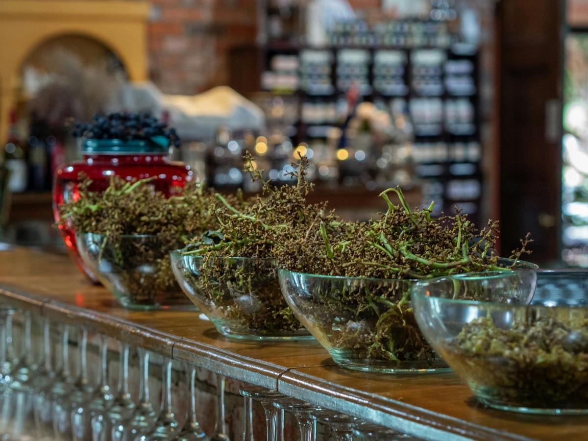 Vine+Dine Journey