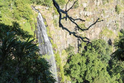 Green Mountains Section of Lamington National Park