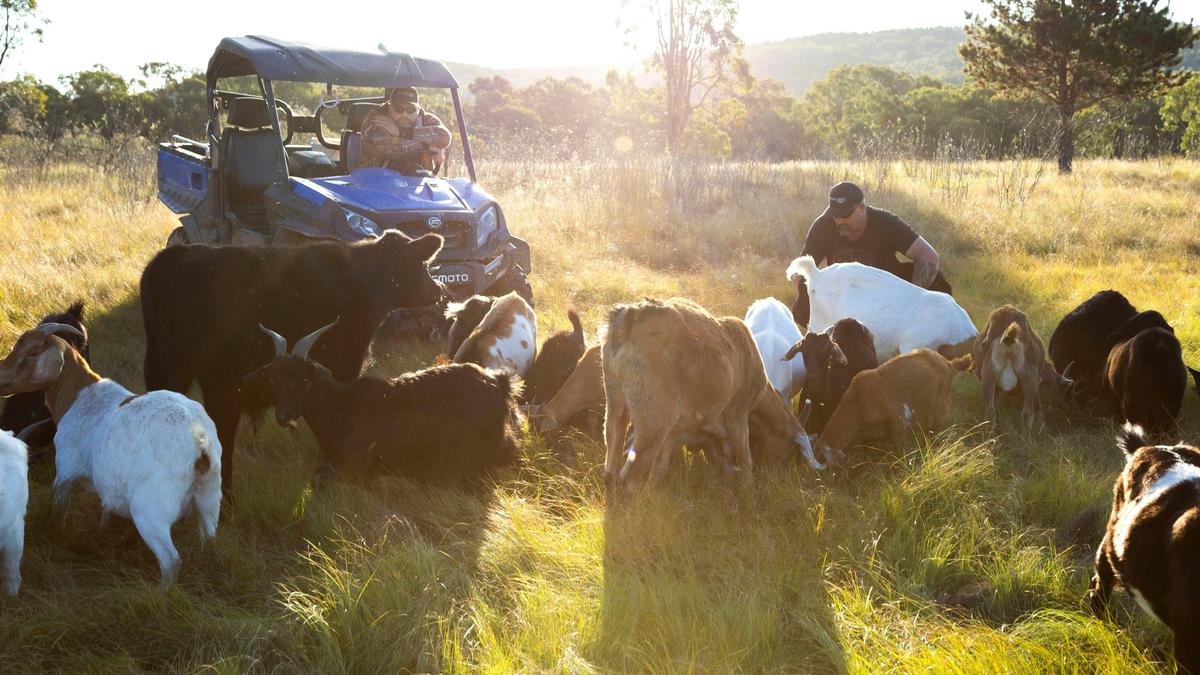 Guffy Acres Off-Grid Farm