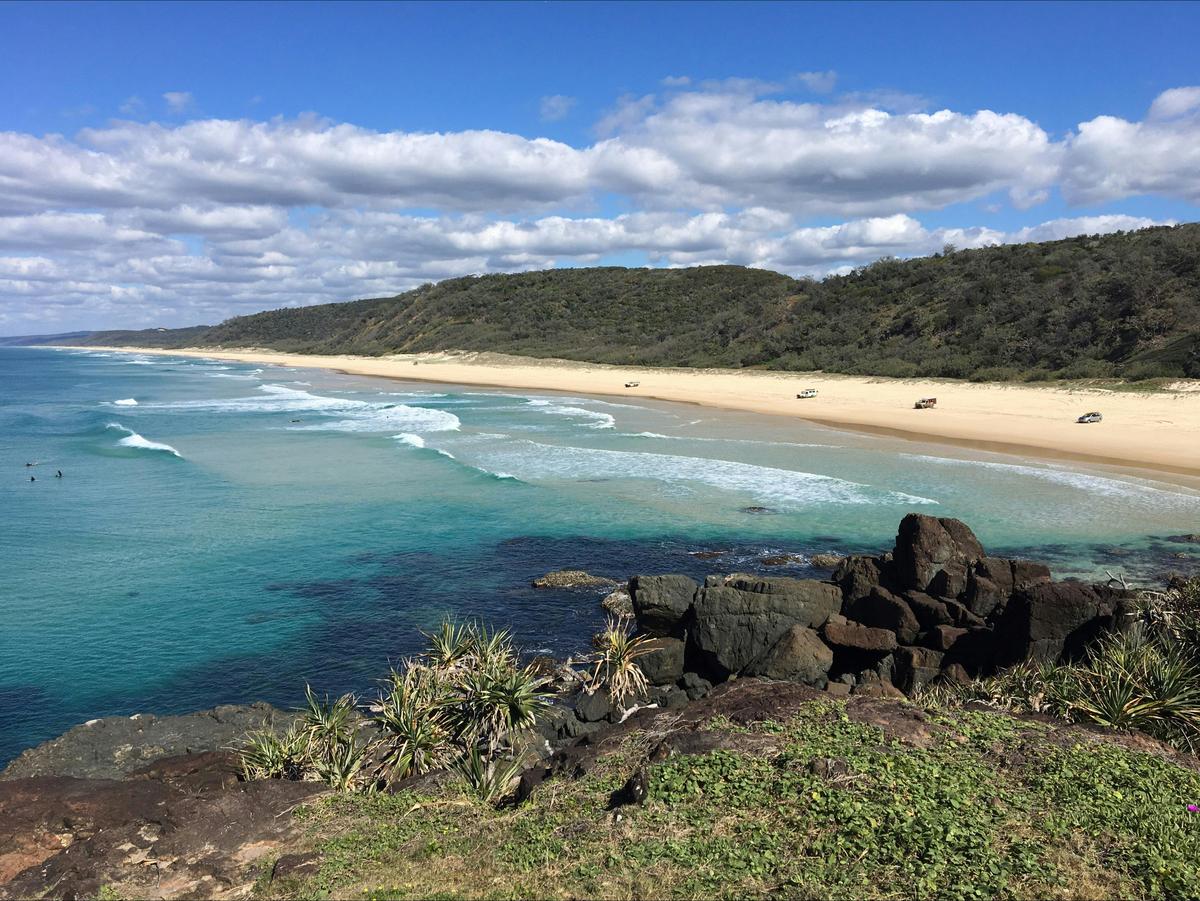 Full Day Great Beach Drive Tour