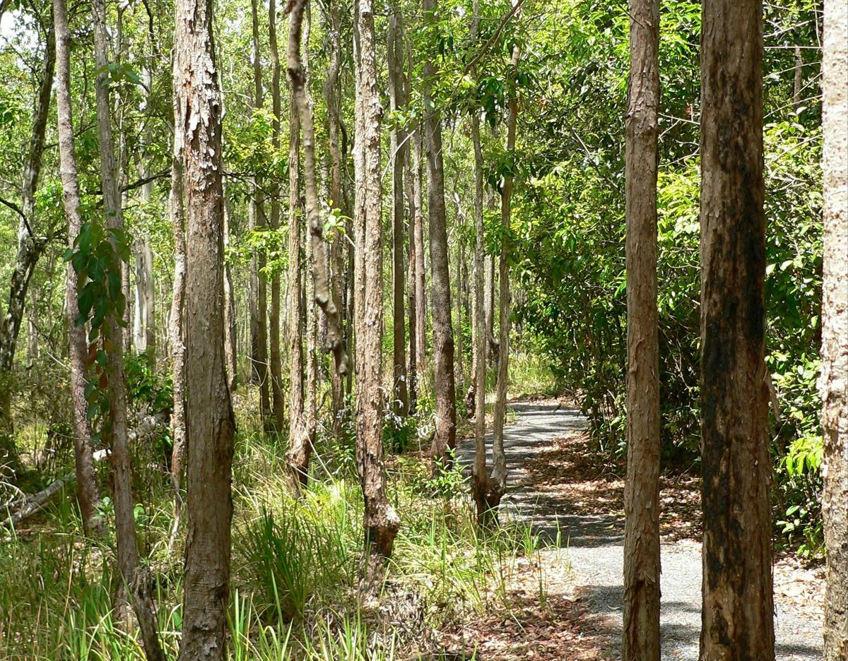 Walking track, Hallorans Hill Conservation Park