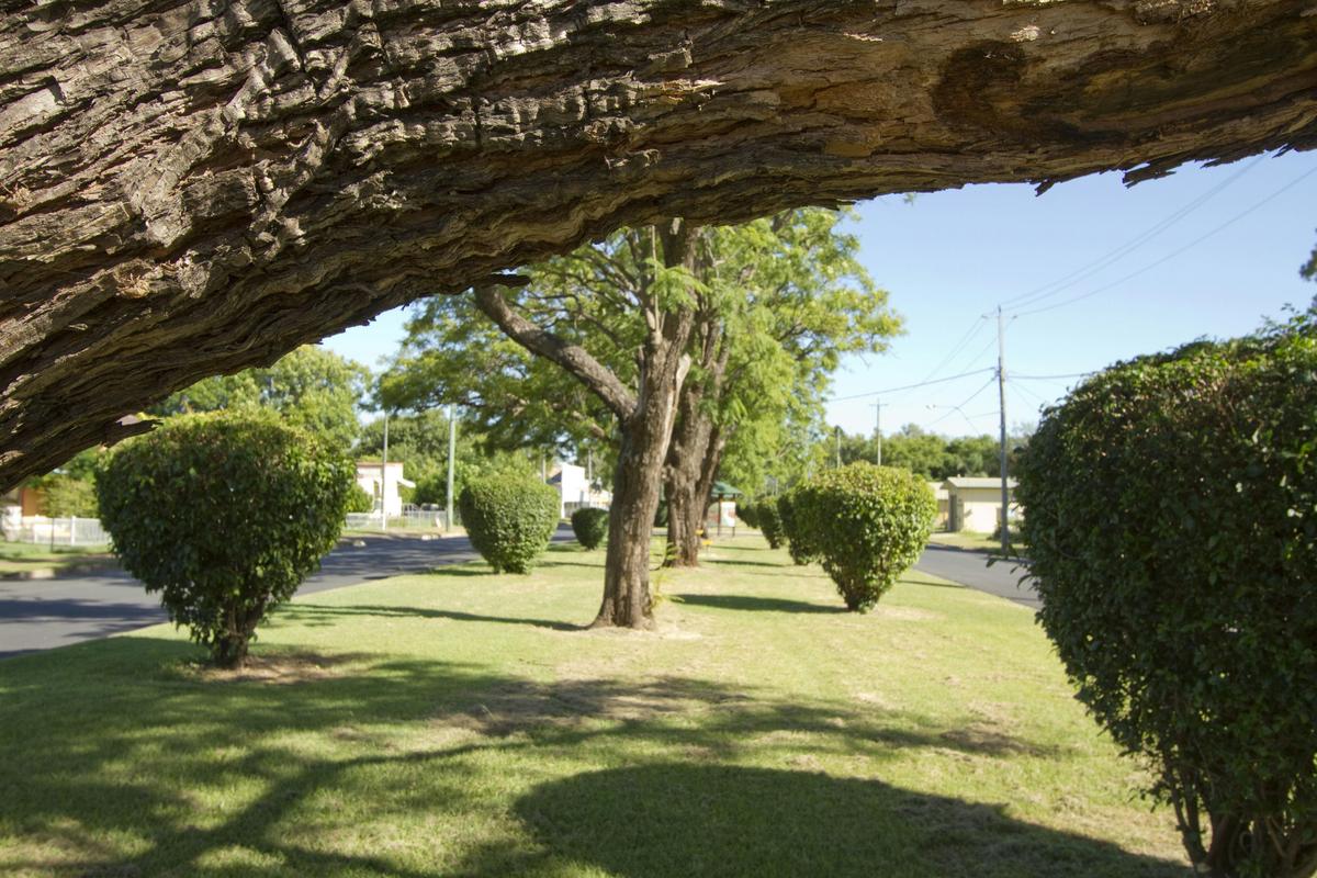 Park at Helidon
