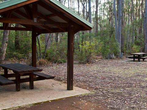 Mongarlowe River picnic area