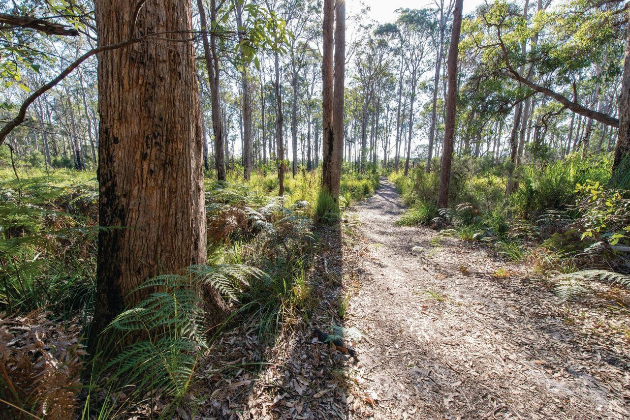 Nadgee Nature Reserve