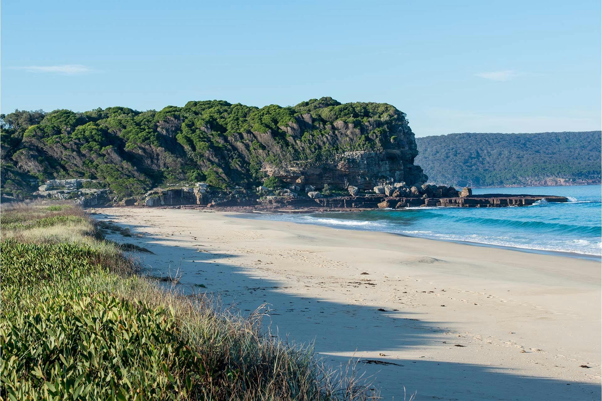 Nadgee Nature Reserve