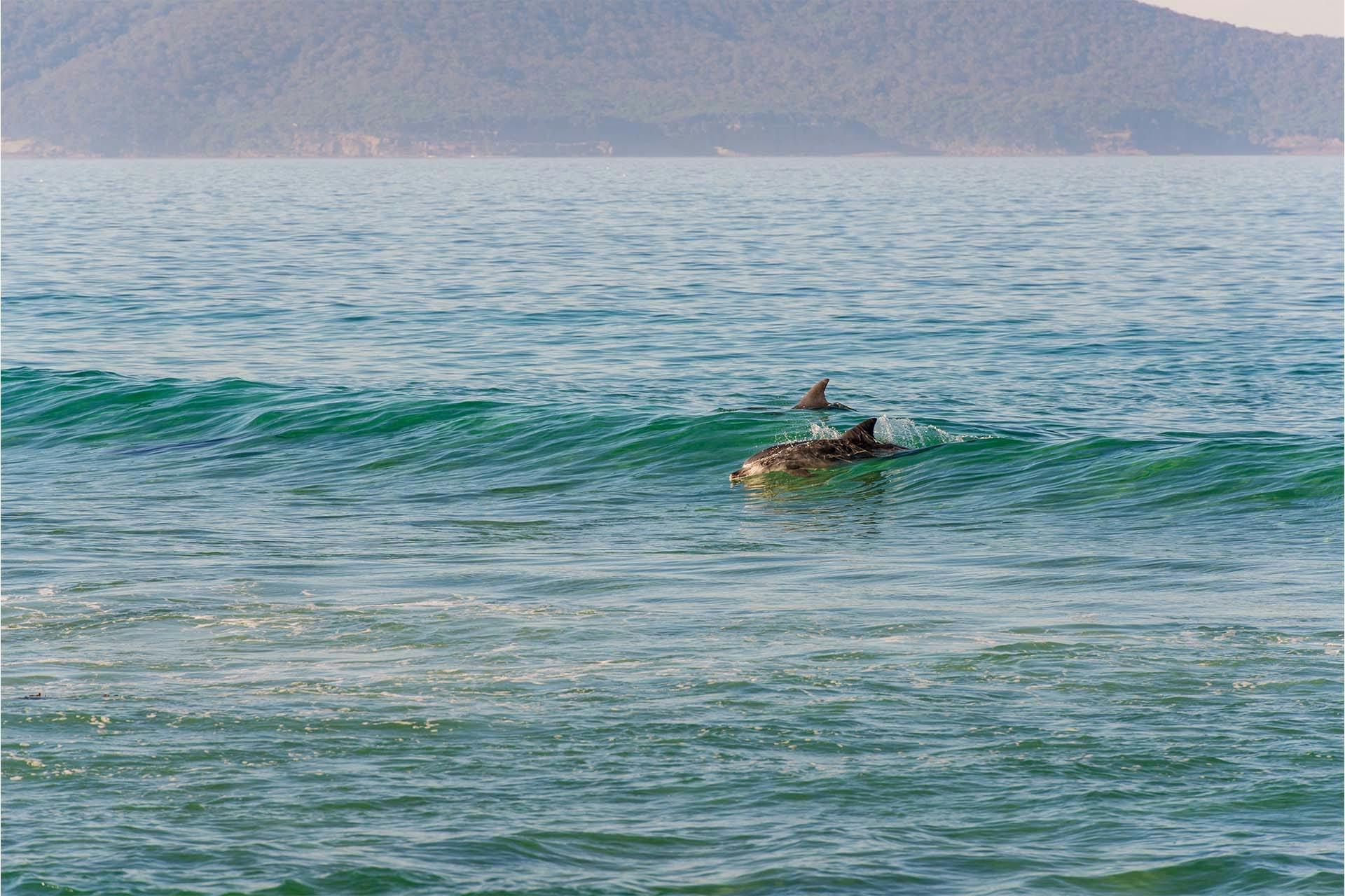 Nadgee Nature Reserve