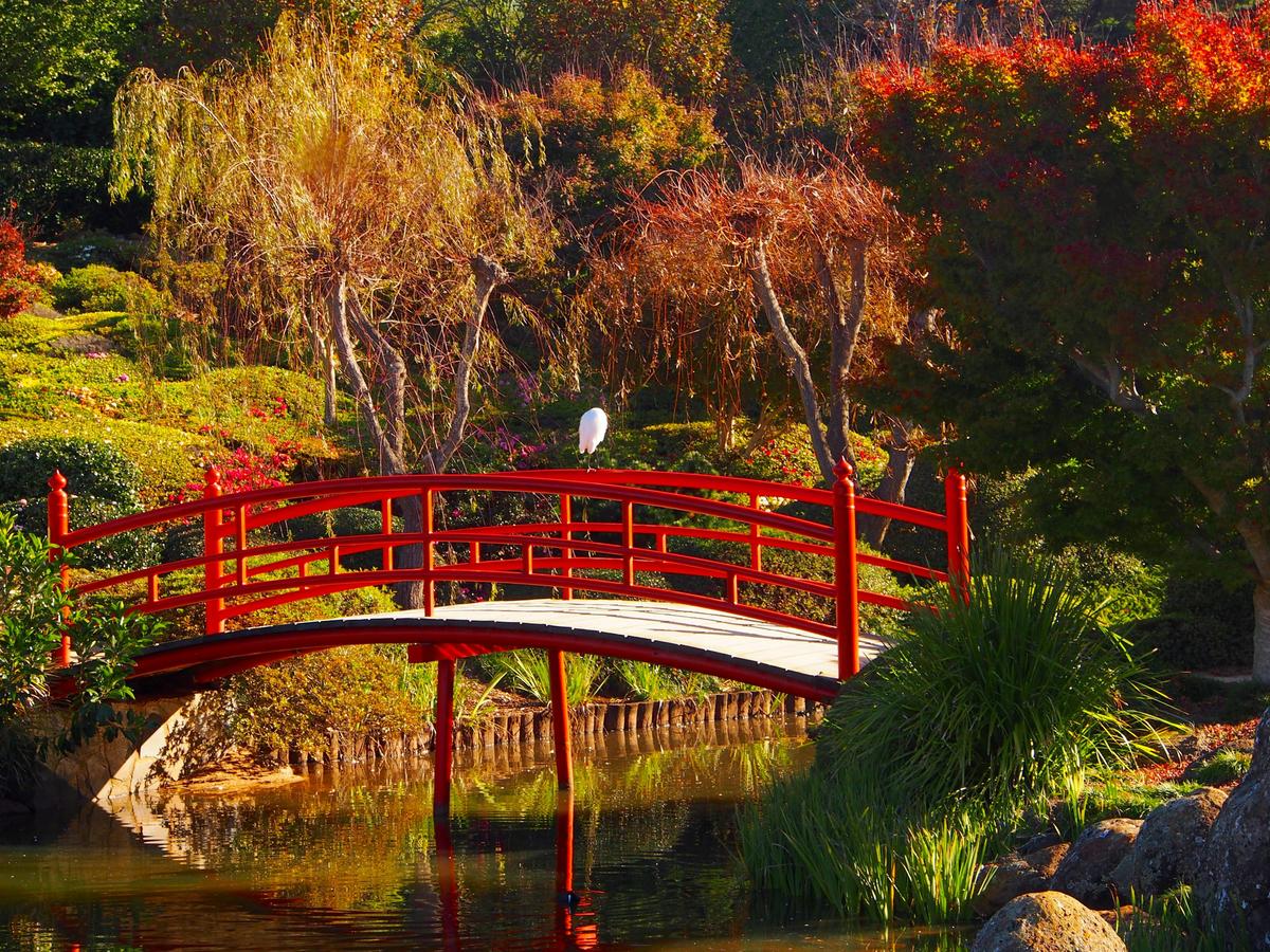 red bridge over water in Ju Raku En Japanese Garden