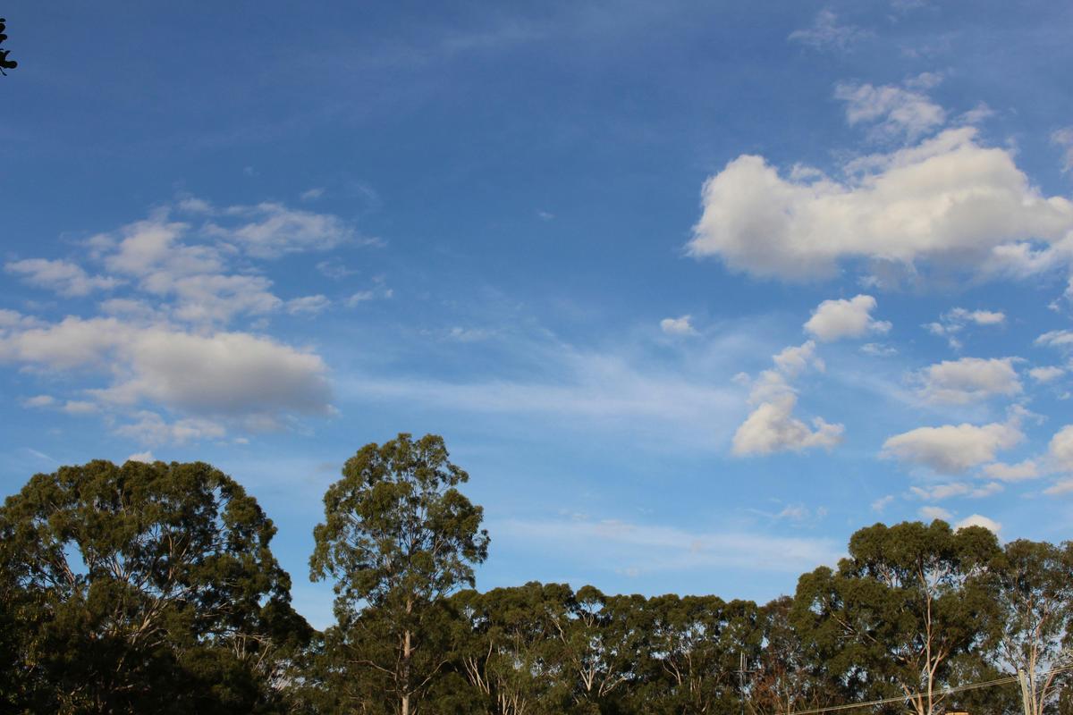 Blue Sky
