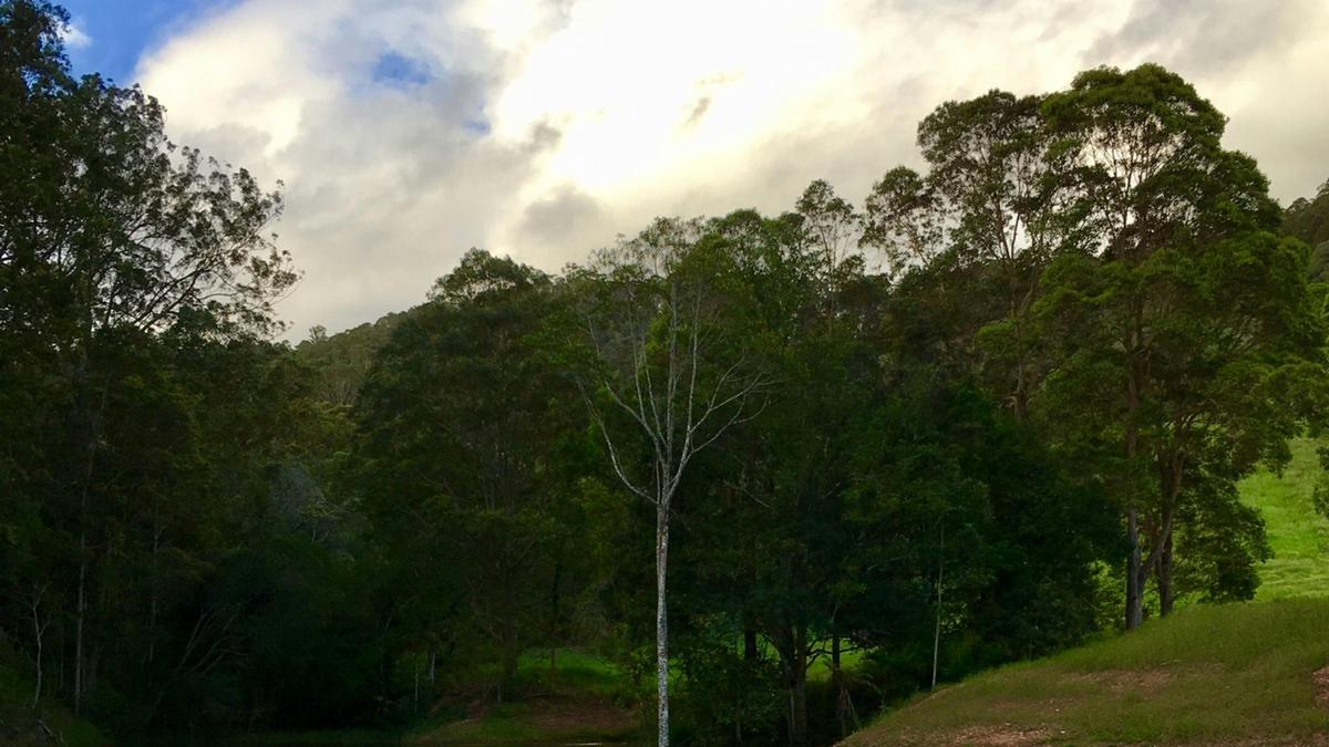 Hillier Retreat, Noosa Hinterland, Sunshine Coast