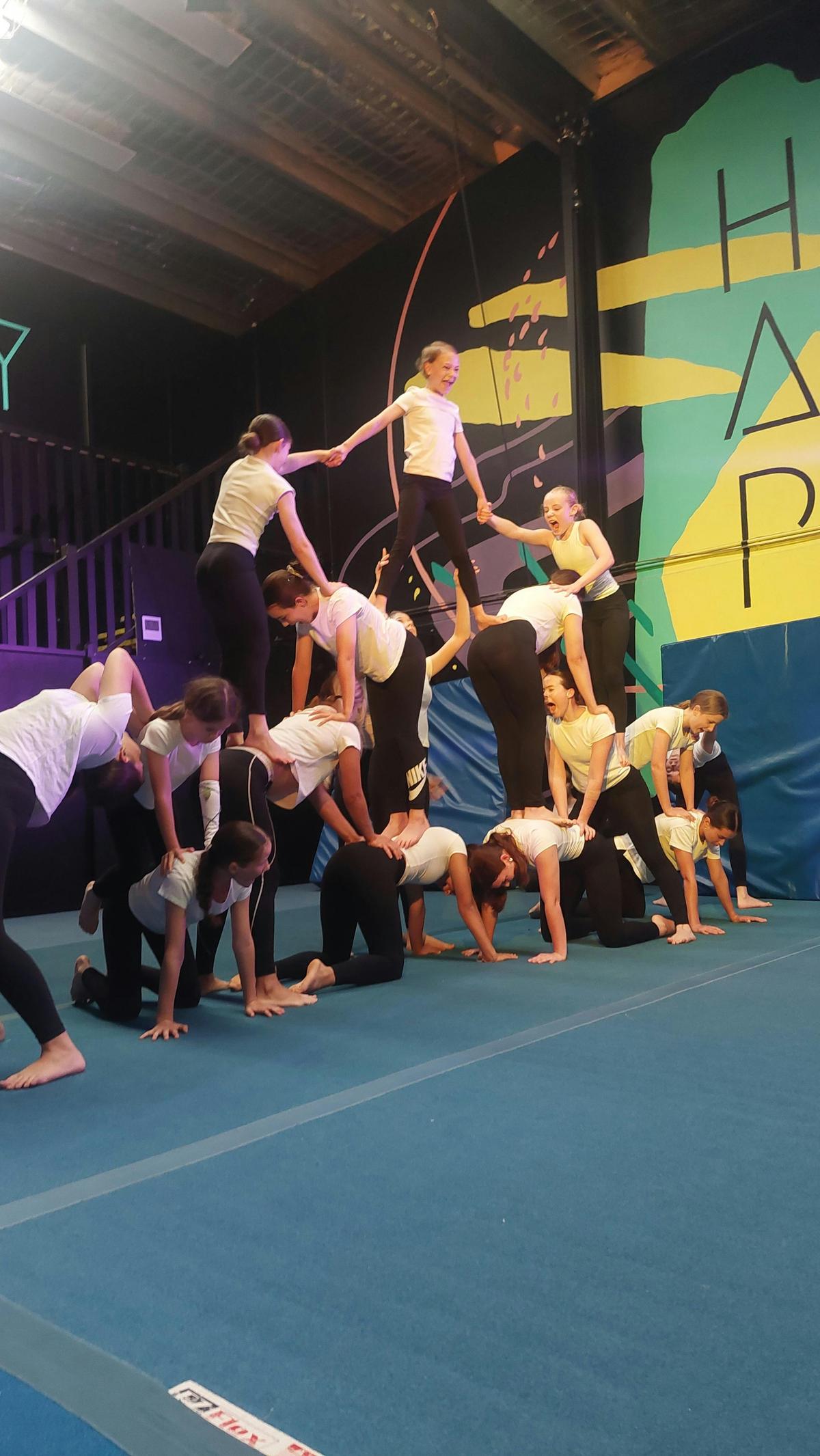 HAPY Youth Troupe - Aerial & Acrobatic Performers