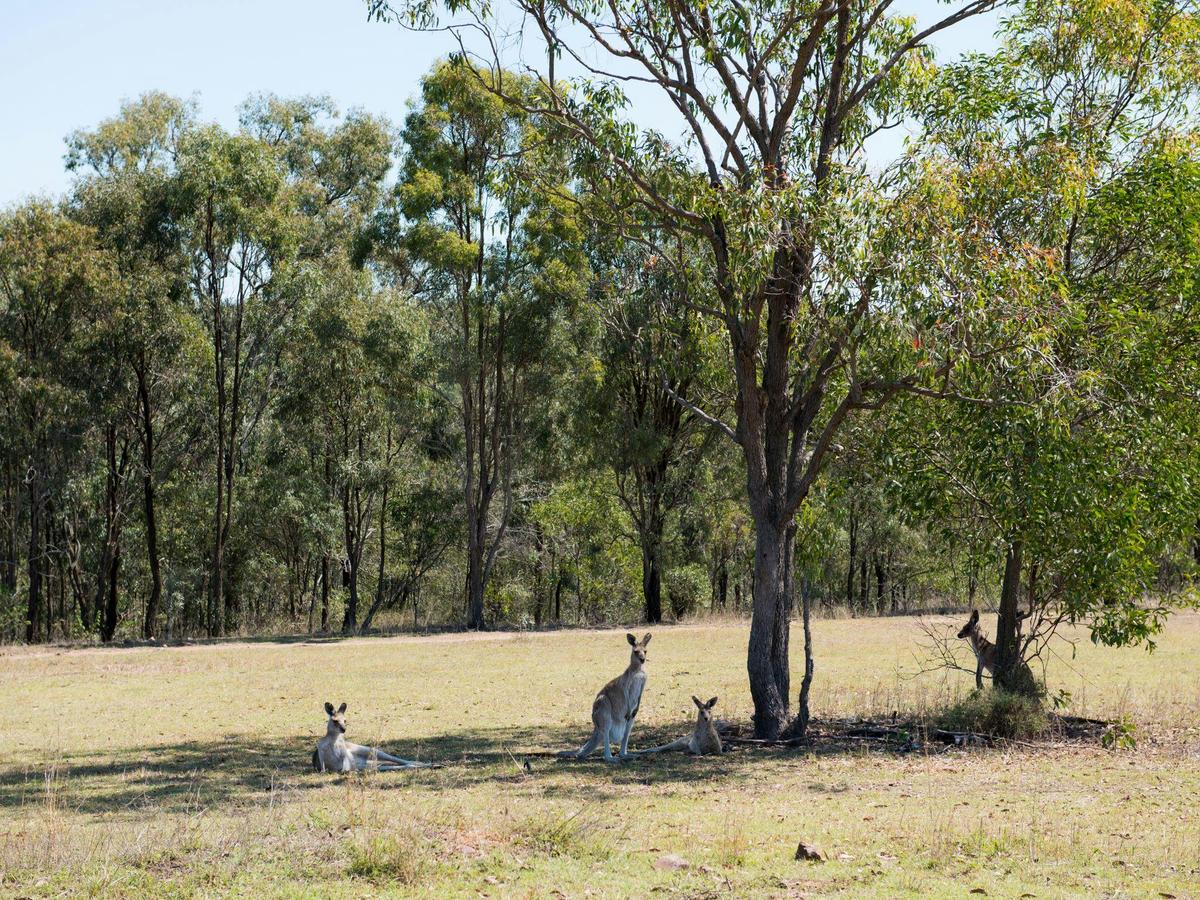 Hidden Vale Adventure Park, Grandchester, Ipswich