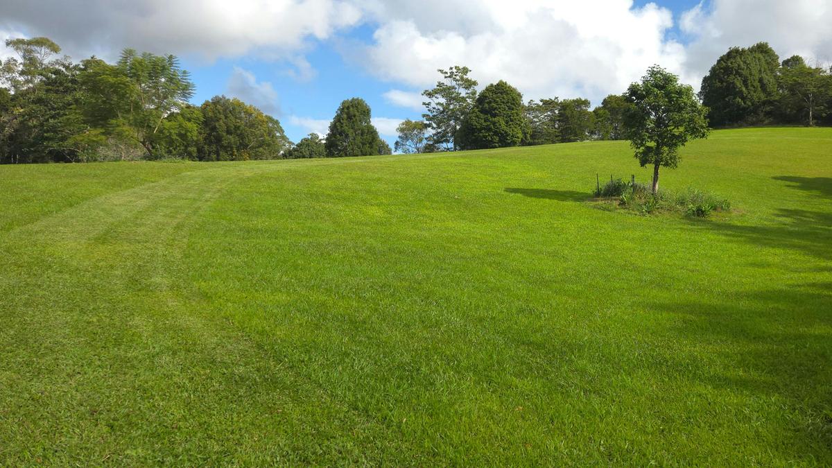 Hills on Lawnville