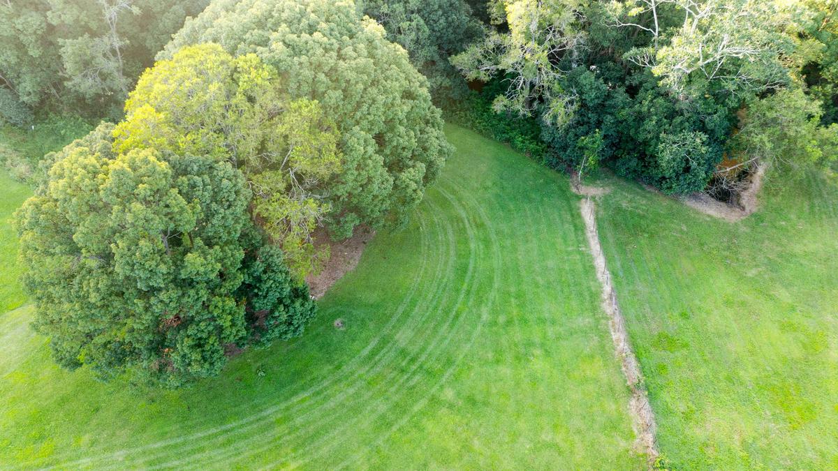 Hills on Lawnville