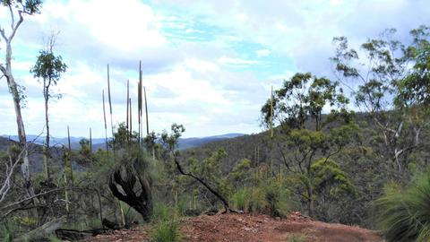 Hope Valley