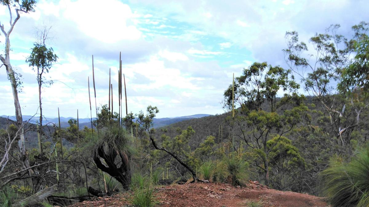 View from the top