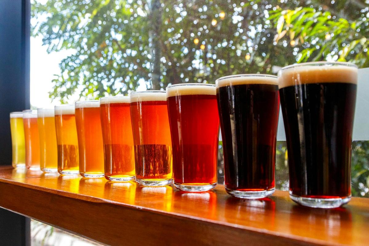 Rainbow of beers